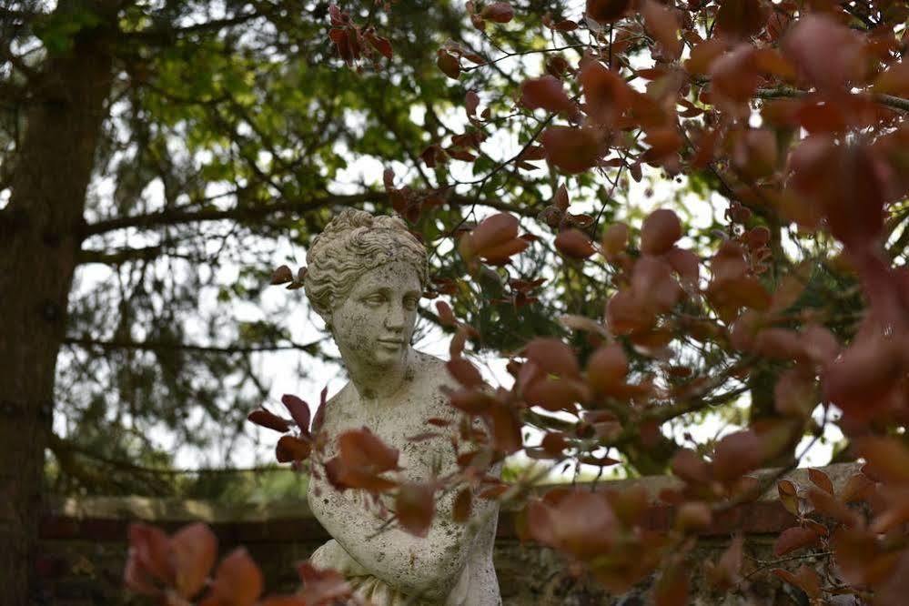 Old Selden Farm B&B แคลปแฮม ภายนอก รูปภาพ