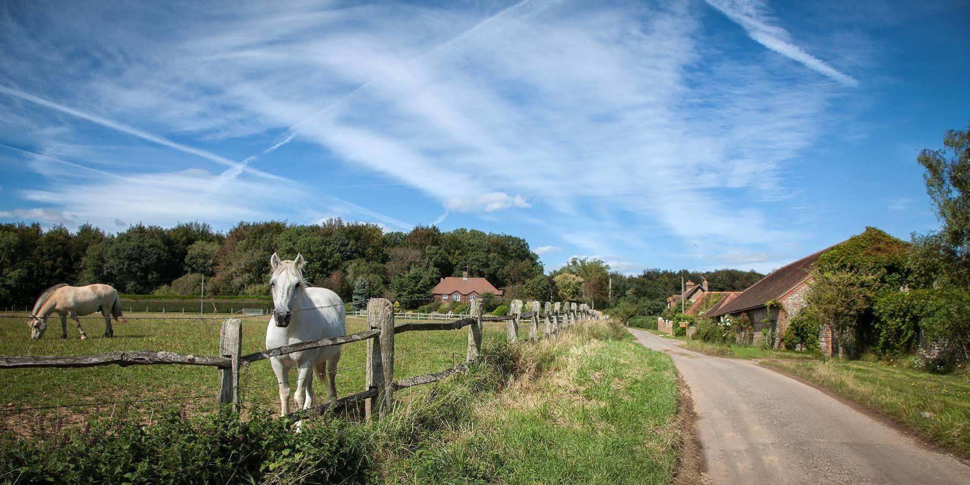 Old Selden Farm B&B แคลปแฮม ภายนอก รูปภาพ